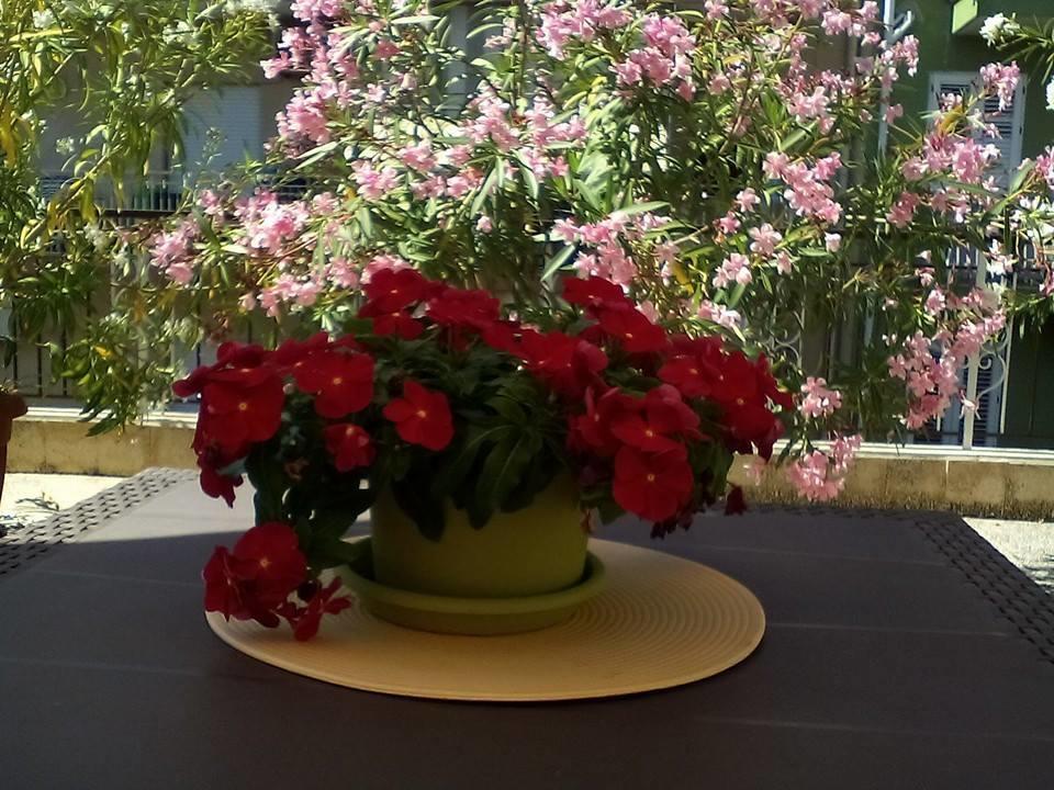 Ferienwohnung Il Terrazzo Di Oleandri Bagheria Zimmer foto