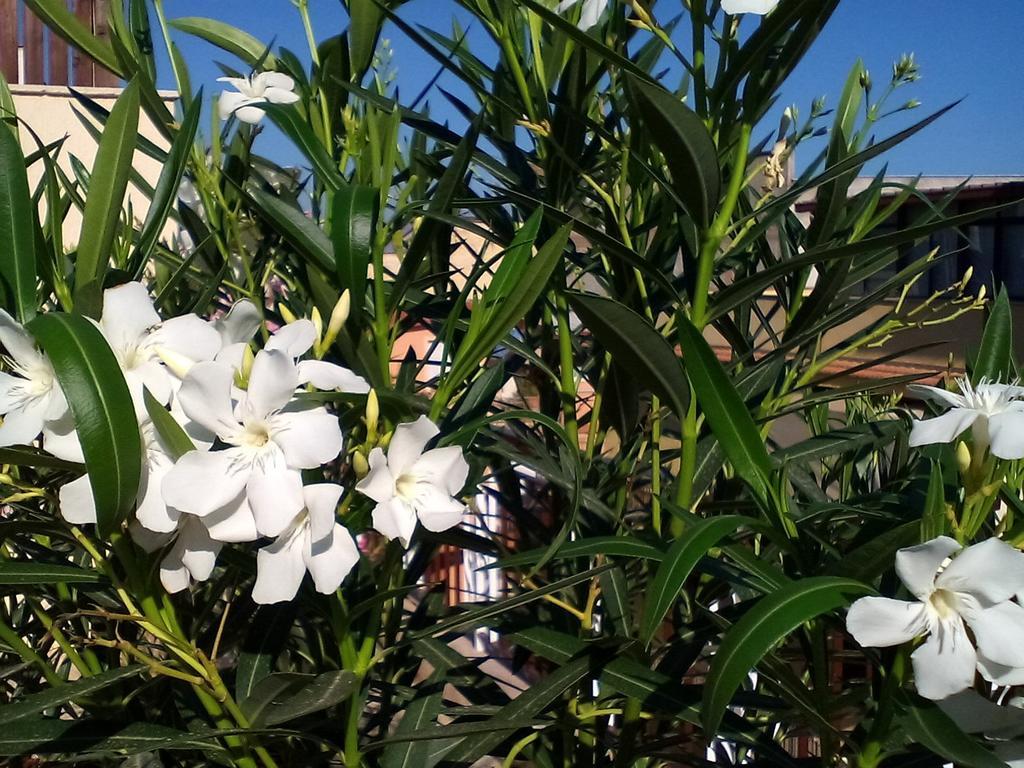Ferienwohnung Il Terrazzo Di Oleandri Bagheria Zimmer foto